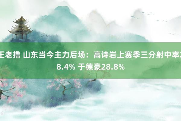 王老撸 山东当今主力后场：高诗岩上赛季三分射中率28.4% 于德豪28.8%