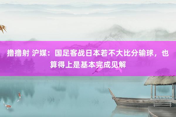 撸撸射 沪媒：国足客战日本若不大比分输球，也算得上是基本完成见解