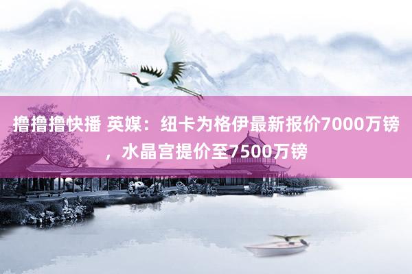 撸撸撸快播 英媒：纽卡为格伊最新报价7000万镑，水晶宫提价至7500万镑