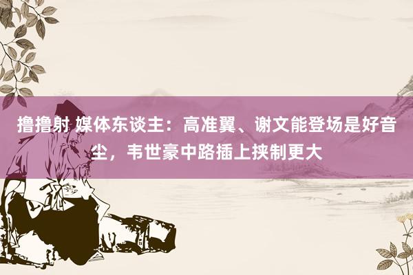 撸撸射 媒体东谈主：高准翼、谢文能登场是好音尘，韦世豪中路插上挟制更大