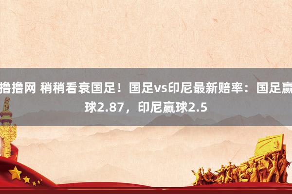 撸撸网 稍稍看衰国足！国足vs印尼最新赔率：国足赢球2.87，印尼赢球2.5