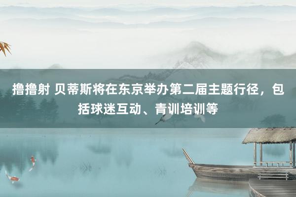 撸撸射 贝蒂斯将在东京举办第二届主题行径，包括球迷互动、青训培训等