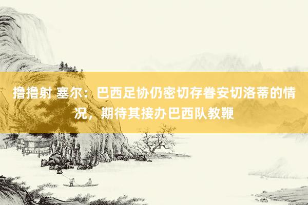 撸撸射 塞尔：巴西足协仍密切存眷安切洛蒂的情况，期待其接办巴西队教鞭