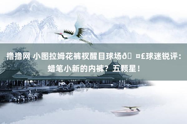 撸撸网 小图拉姆花裤衩醒目球场🤣球迷锐评：蜡笔小新的内裤？五颗星！