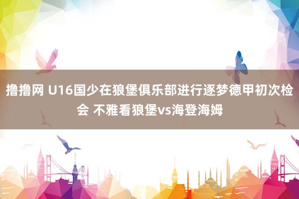 撸撸网 U16国少在狼堡俱乐部进行逐梦德甲初次检会 不雅看狼堡vs海登海姆